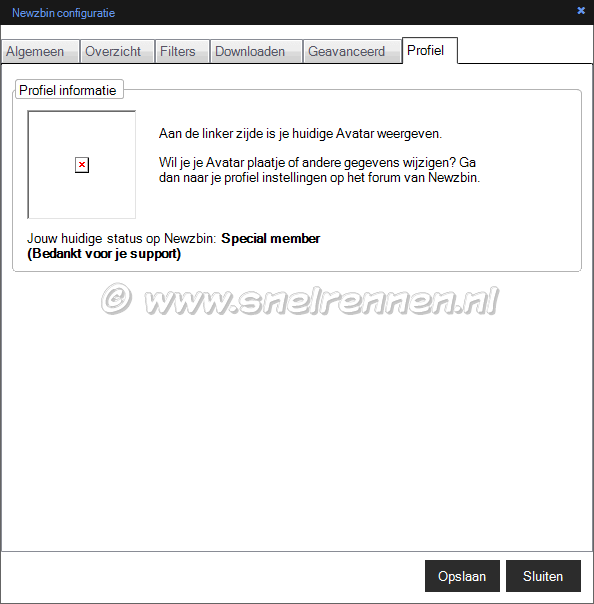 Newzbin configuratie, tabblad Profiel