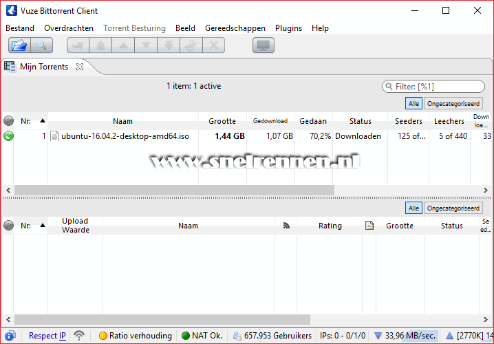 Vuze, een torrent downloaden